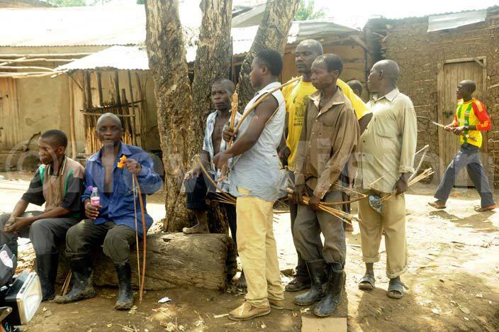  esidents of ukisi illage  bundibugyo armed with arrows ready to defend themselves from the attackers 