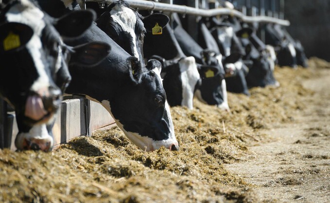 The methane reducing feed additive marks the first authorisation by the UK for a feed additive with a targeted environmental benefit. 