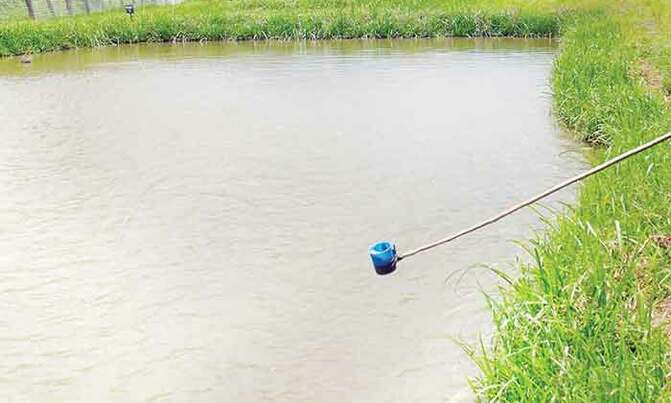 About 83,000 fish poisoned in Serere About 83,000 fish poisoned in Serere