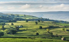 Farmland prices continue to rise as farmers incorporate natural capital