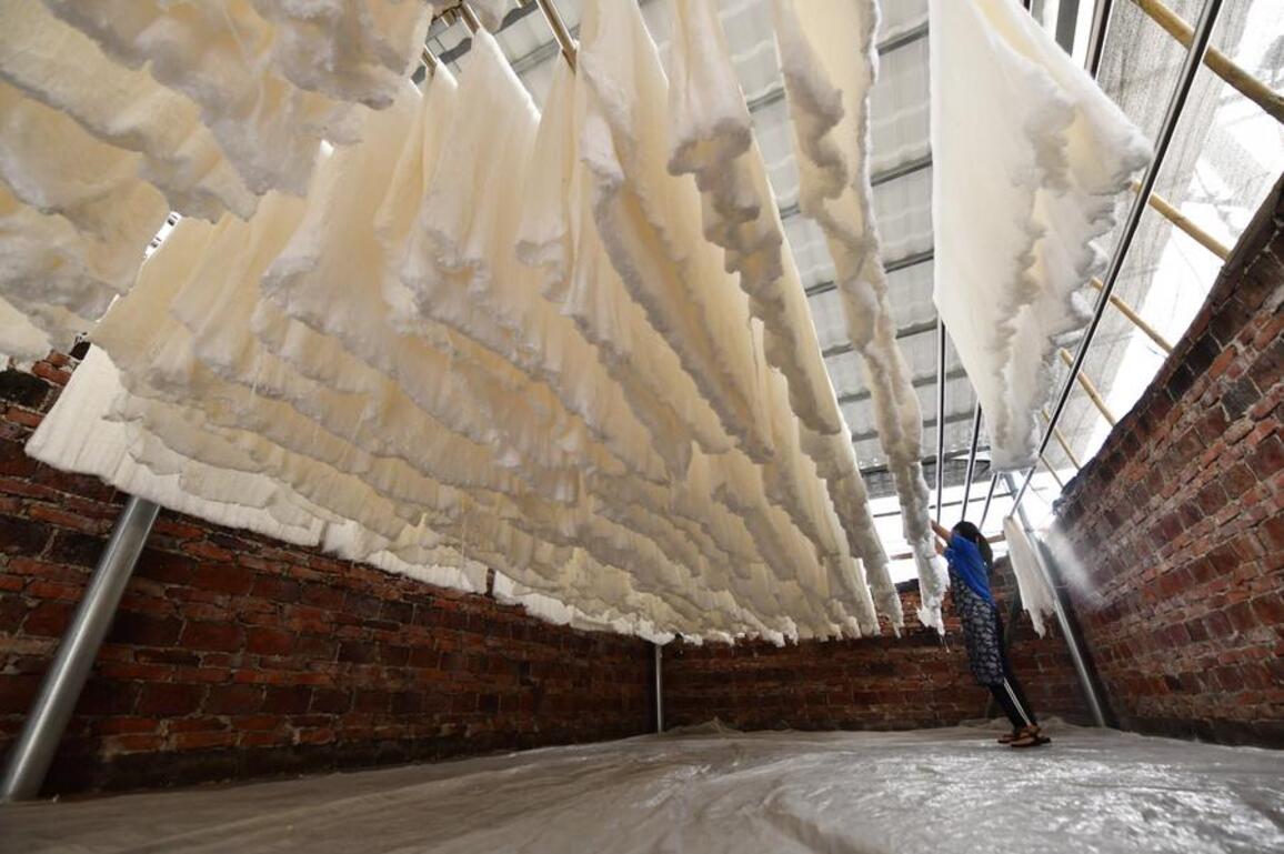 South China's Guangxi embraces smarter silkworm industry