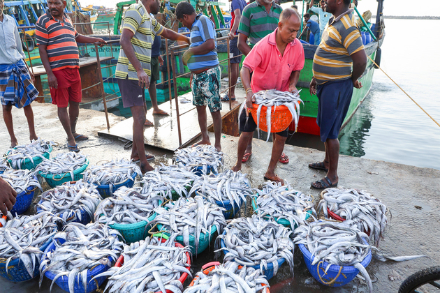 India's seafood export to US remains robust over past five years: Jitin Prasada