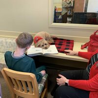 Pippi, a mini golden doodle, helps local children R.E.A.D. - Park Record
