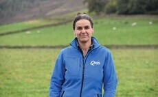 In your field: Kate Rowell – "Jackdaws are an absolute pain in the neck with their attempts to build nests in the most ridiculous places around the farm"