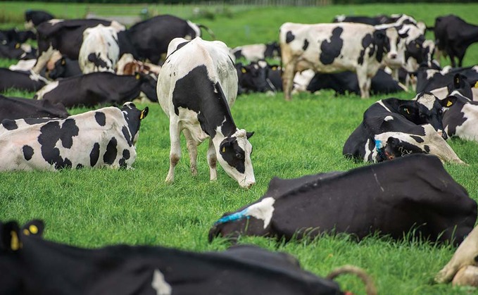 Milk market disruption laid bareas devolved data comes to light
