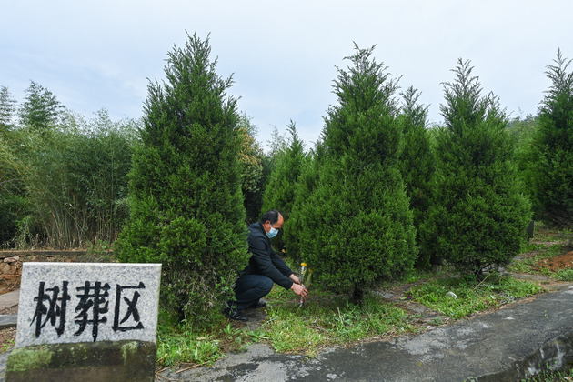 Eco-friendly burials in China honoring life beyond death