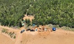 ASM, Viridis awash with cash as REE tide surges