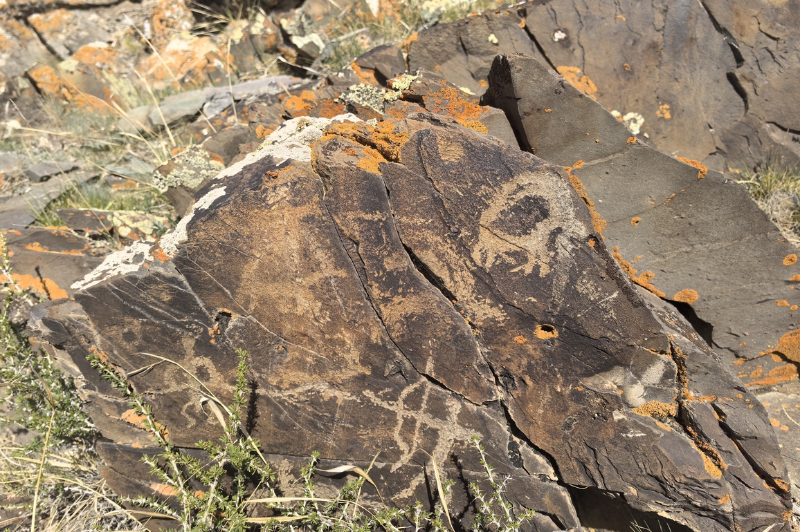 CHINA-XINJIANG-ANCIENT ROCK PAINTINGS (CN)