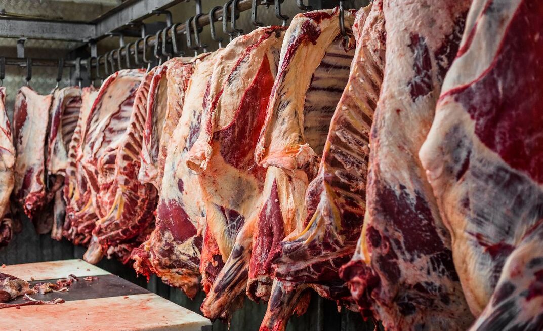 A cold carcase grading camera, which is designed to reduce grading variability and enhance carcase value, has been approved for use in Australia. 