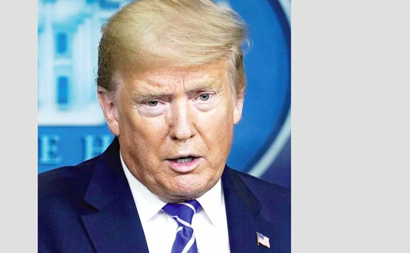 Trump Trump