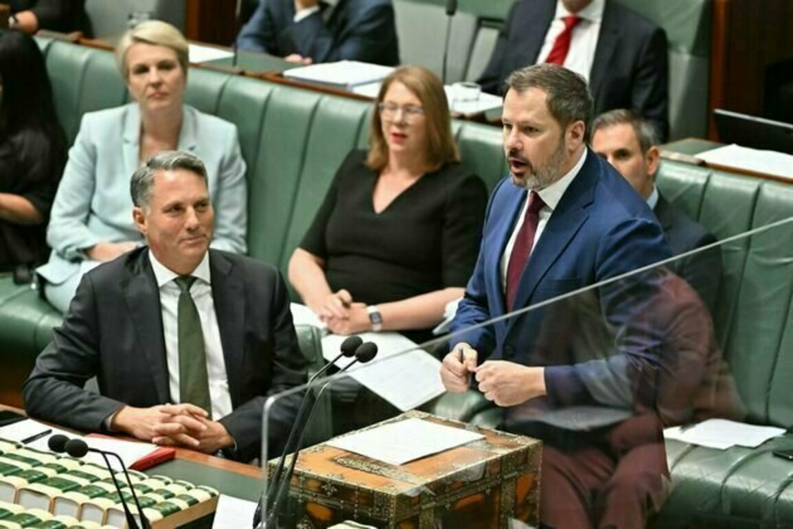 Dumped minister Ed Husic labels Deputy Prime Minister Richard Marles 'factional assassin'