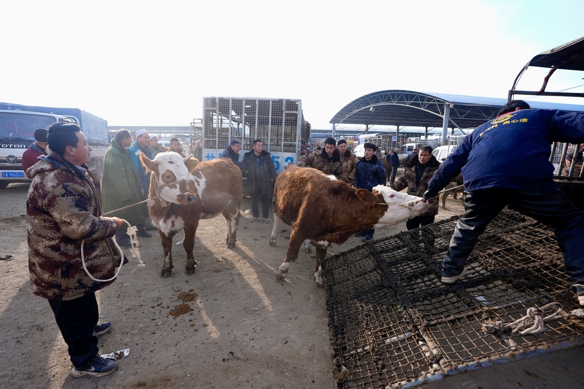 CHINA-NINGXIA-GUYUAN-LIVESTOCK TRADING MARKET (CN)