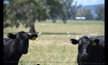  The value of livestock and crops rose significantly in 2021-22, according to ABS data. Picture Mark Saunders.