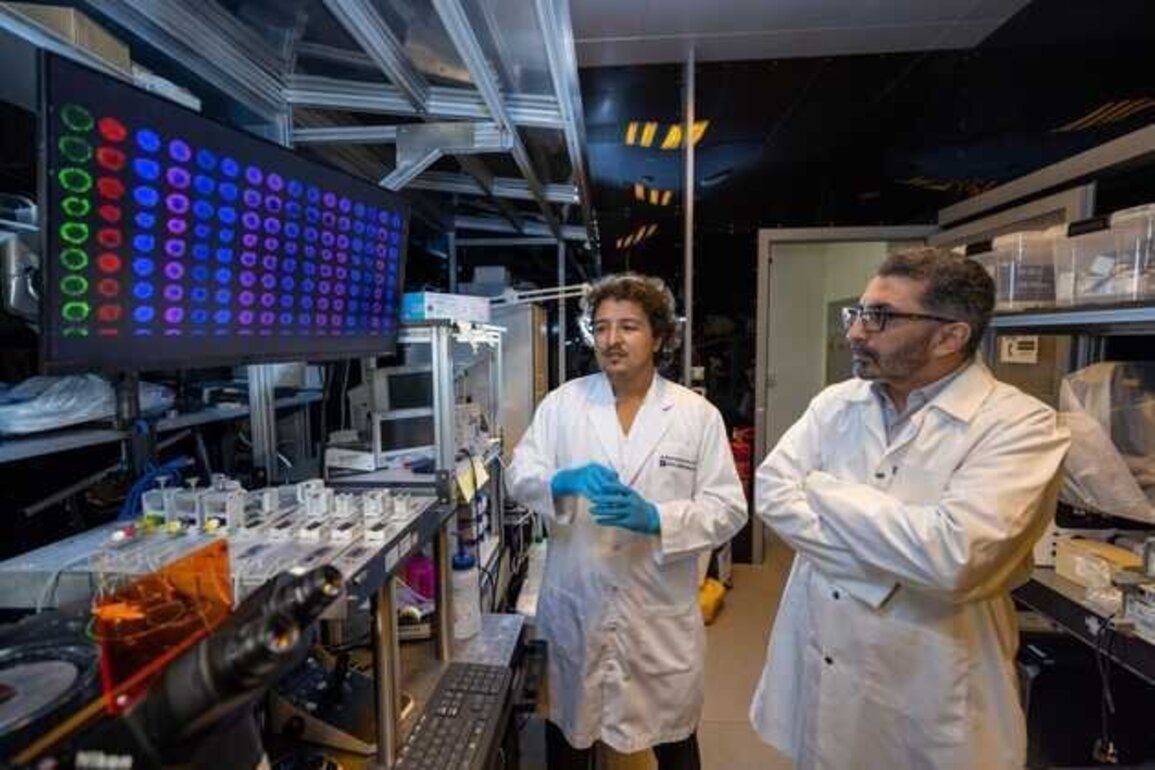 NYU Abu Dhabi researchers develop low-cost technology to store tumor models for drug testing