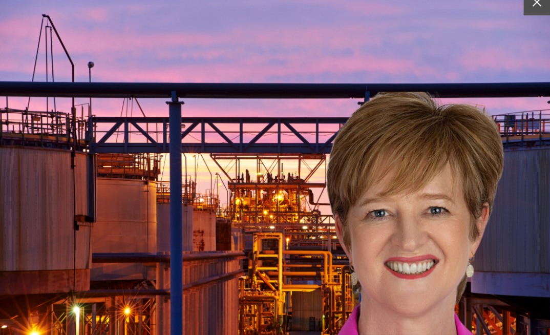 Pictured: Alcoa Australia VP Operations Elsabe Muller at Wagerup refinery, as the company takes the rare step of partnering in an LNG project.