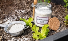 diatomite credit FotoHelin, via Shutterstock