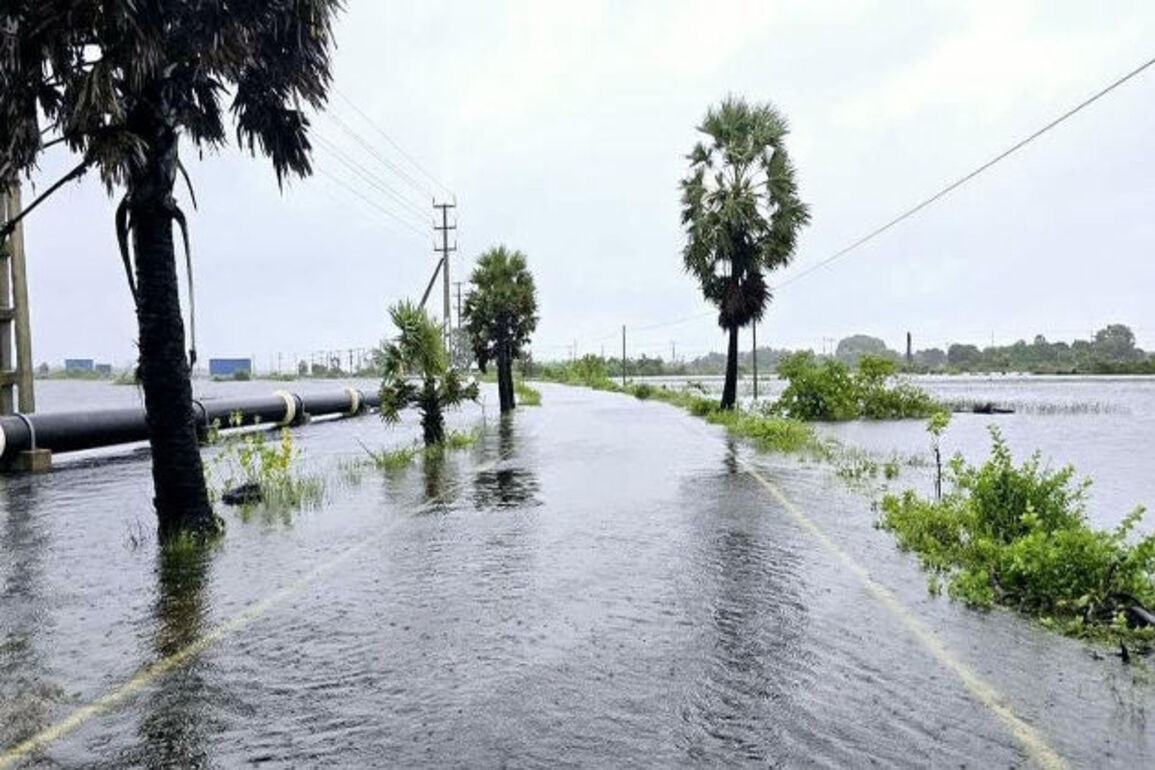 334 dead, scores homeless as Cyclone Ditwah strikes Sri Lanka