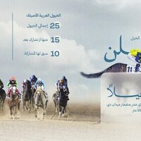 40 Arabian, thoroughbred horses participating in 11th trial race at Meydan Racecourse