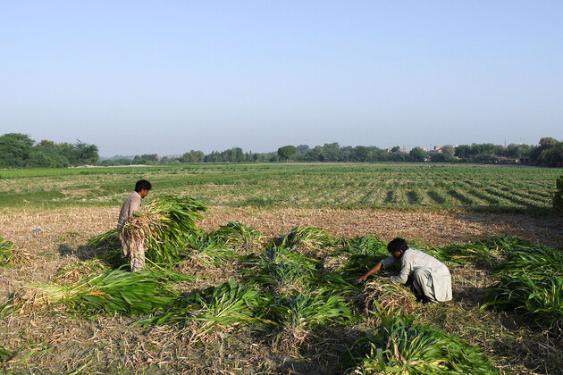 Pakistan flood-hit farmers move climate justice case in Germany against top polluters