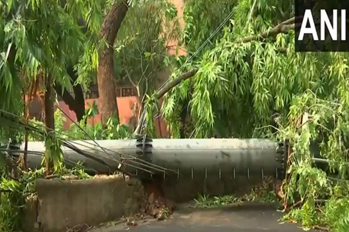 Mobile tower collapses in Safdarjung Enclave after overnight downpour in Delhi