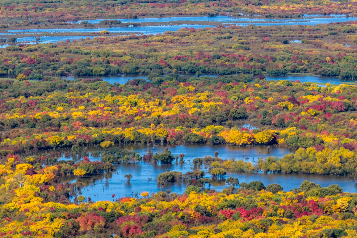 CHINA-INNER MONGOLIA-HULUN BUIR-ERGUNE-WETLAND-AUTUMN-SCENERY (CN)