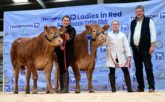 Sales round up: Limousins to 16,000gns in Ballymena, online sheep sales, Thainstone Spectacular, pedigree sheep at Welshpool
