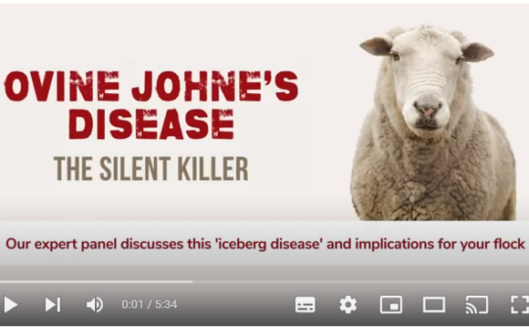 Johnes Disease - The disease no one seems to have heard of