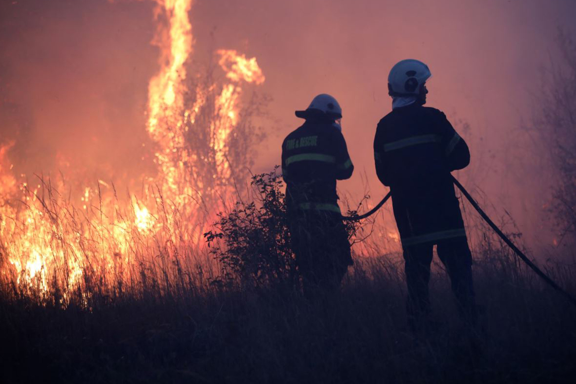 Bulgaria extinguishes 121 fires in 24 hours, No injuries reported