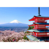 Japan Trip Cost from India: Flights, Hotels, & Daily Expenses Breakdown for Cherry Blossom Season