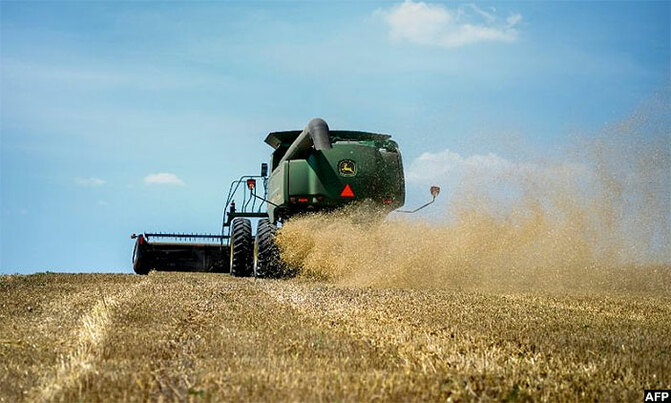 Drought, heat slash grain crops - study Drought, heat slash grain crops - study
