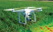  Agrifutures latest reports explore agtech and agriculture.