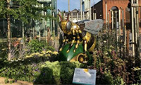 Bee garden creates a buzz in Manchester