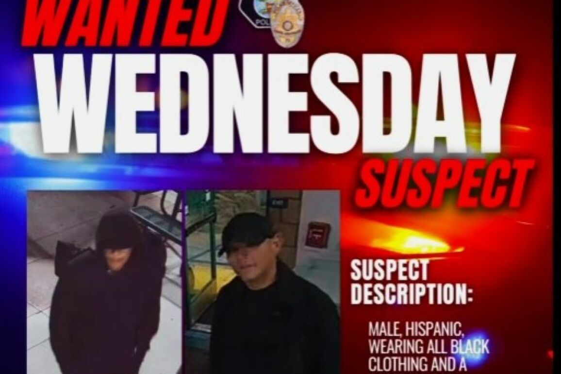The SAPD is searching for a robber who targets taco shops - New Santa Ana