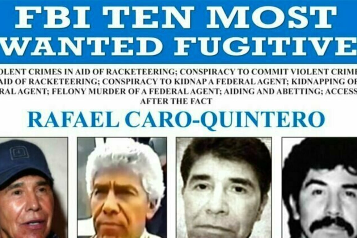 Mexico sends 29 prisoners to US as officials meet with Trump team 