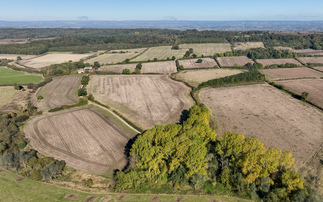 Environment Bank launches 30-year restoration and rewilding project at Castle Howard