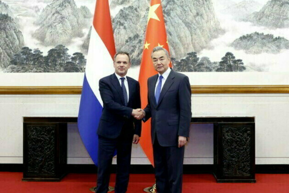 Chinese Foreign Minister Wang Yi meets his Dutch counterpart
