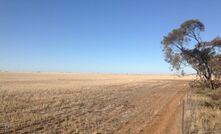 The site of the solar farm.