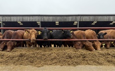 Stabilisers fulfil dual role on North Yorkshire farm