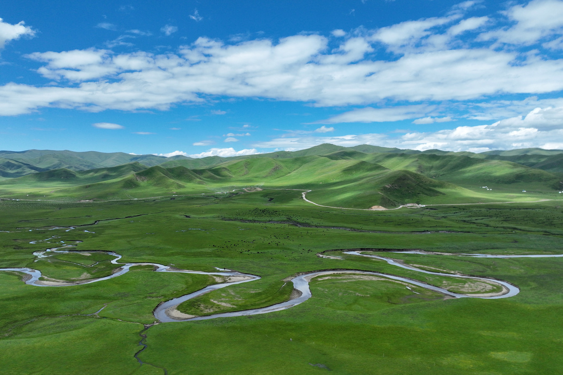 Chinese scientists propose key factor in enhancing Qinghai-Tibet Plateau marsh ecological resilience
