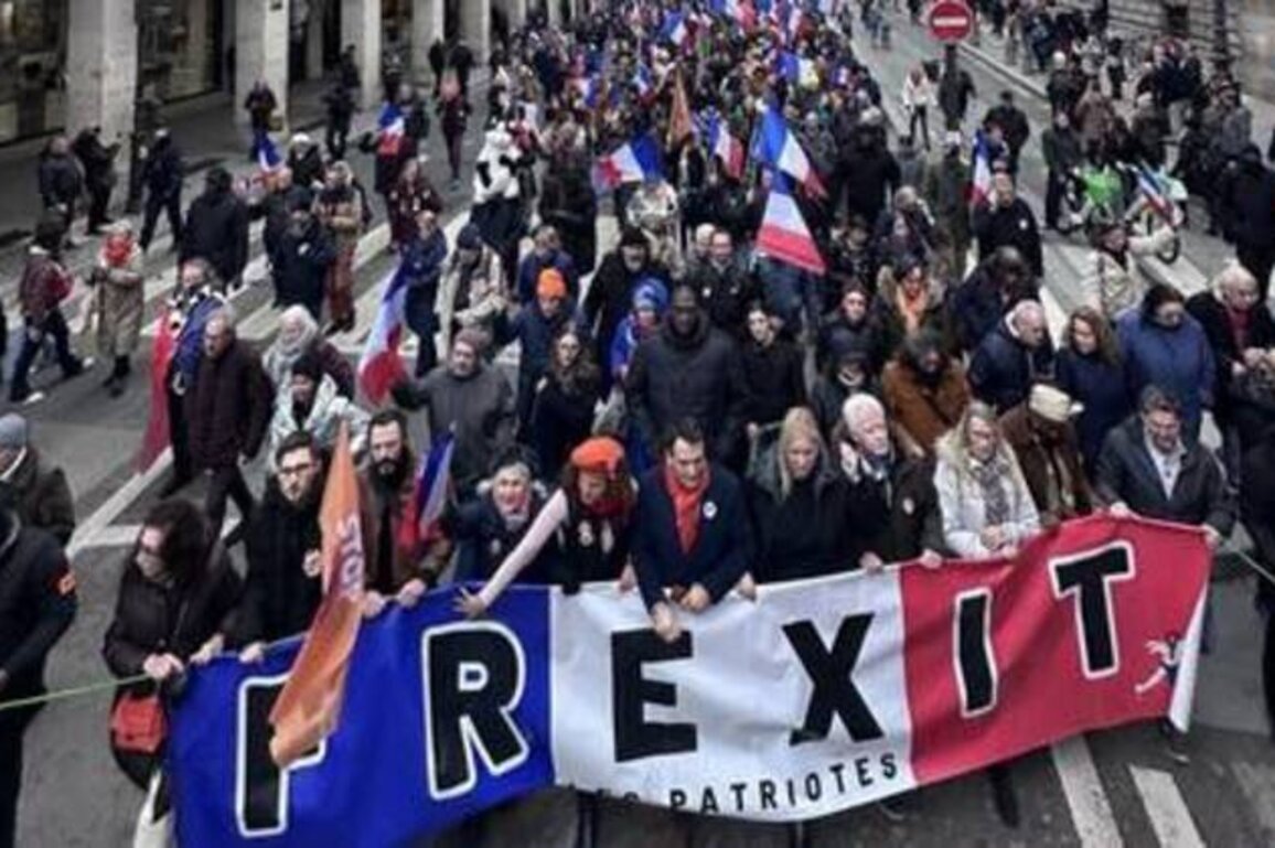 French protesters tear EU flag at 'Frexit' rally (VIDEO)