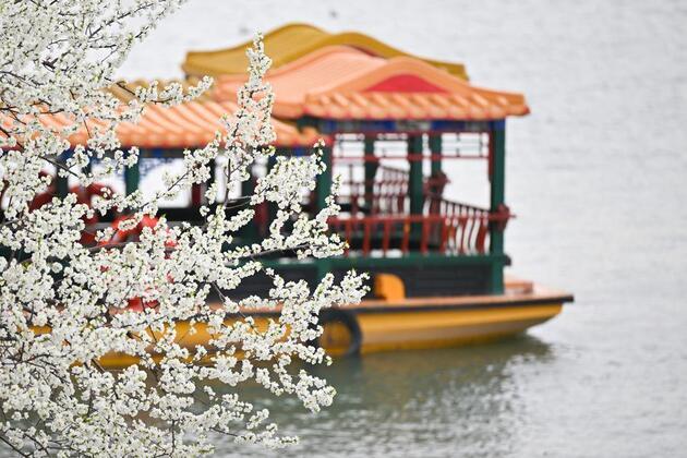 China's first spring break wave poised to unlock learning, spending