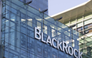 BlackRock teams up with Euroclear on private markets access