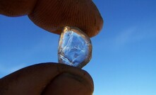 Shell leaps into WA diamond hunt