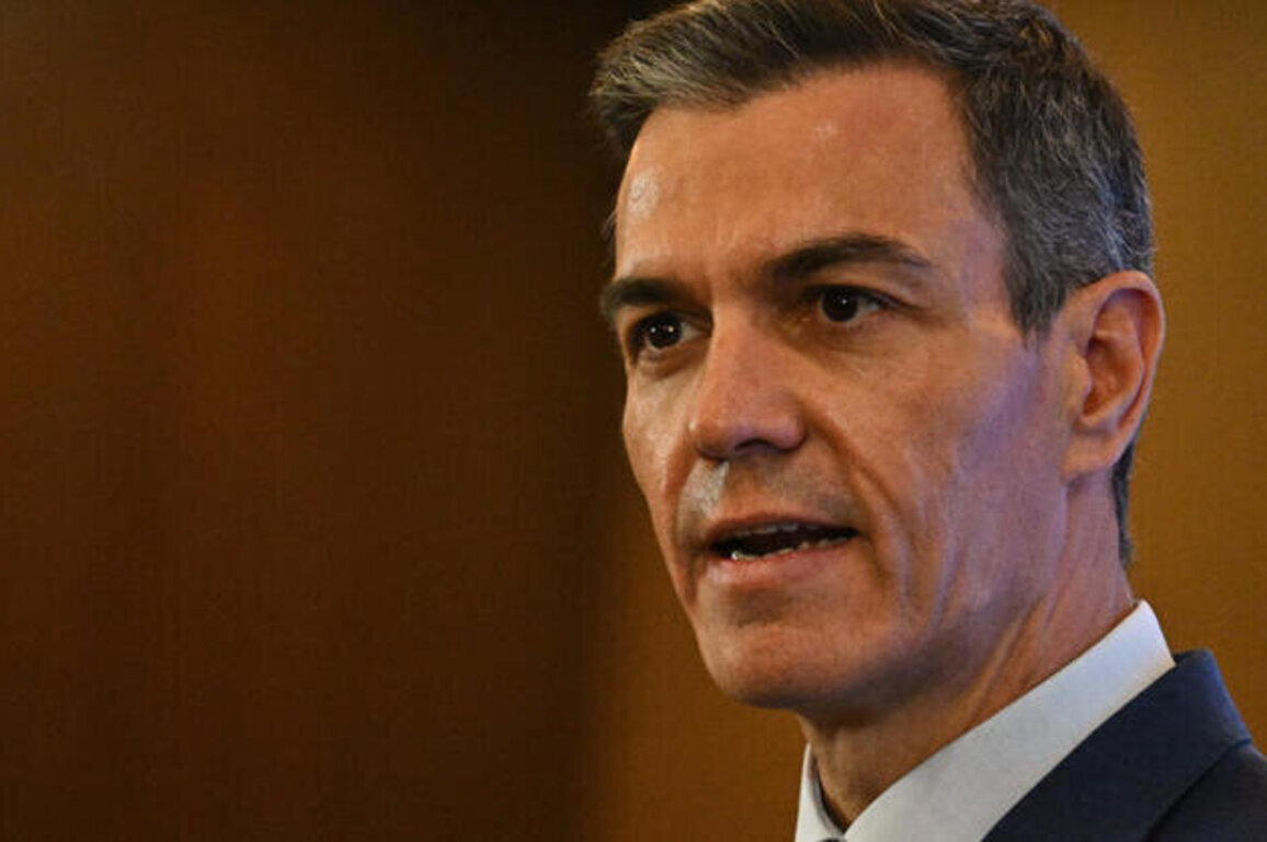 Spanish PM Pedro Snchezs plane makes emergency landing in Turkey