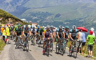 Diseased cows cause Tour de France route to be changed 