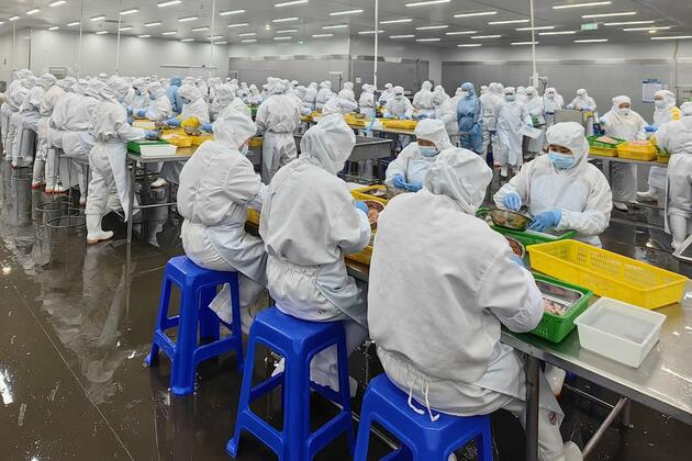 Mountain factory powers seafood processing for global markets