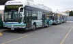 File photo: hydrogen bus models (Foton makes not pictured)