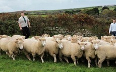 Brothers take on new farming venture
