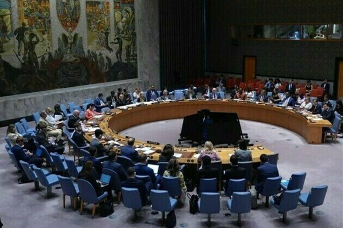 UN Security Council to Hold Emergency Session on Gaza Sunday