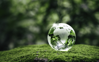 FCA launches sustainability support group for advisers